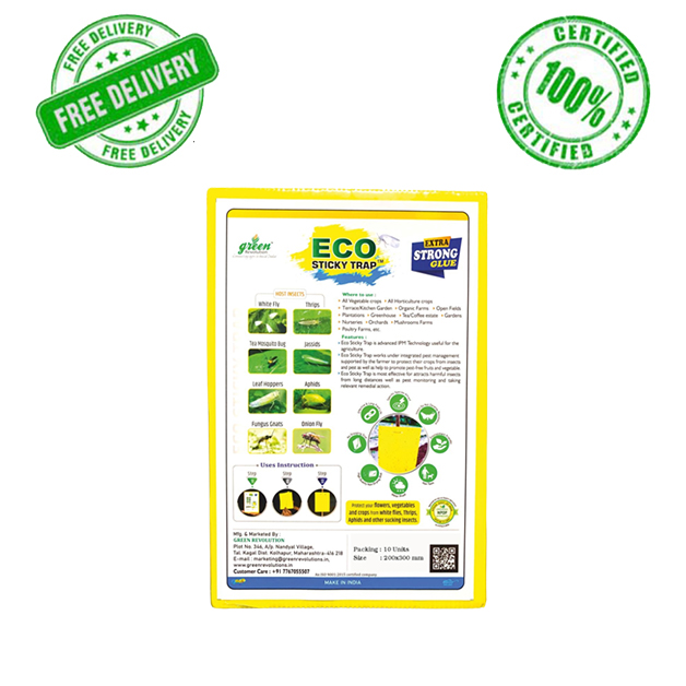 Eco-Sticky-Trap-12*8cm-(Pack-of-25)-Green-revolution